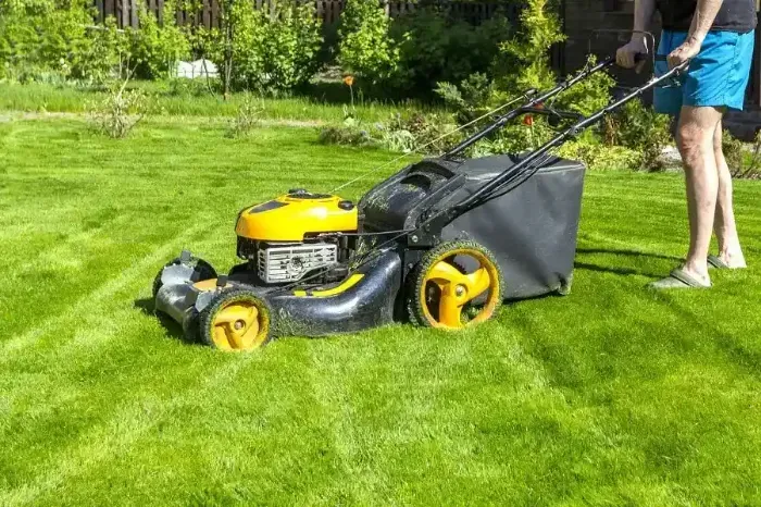 Affordable Lawn Mowing in Clovis, CA