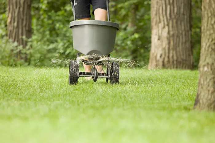 Dependable Lawn Fertilization in Clovis, CA