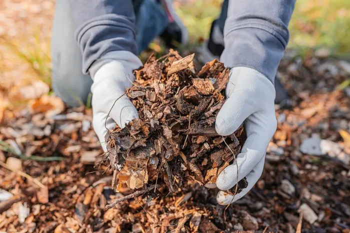 Dependable Mulching in Clovis, CA