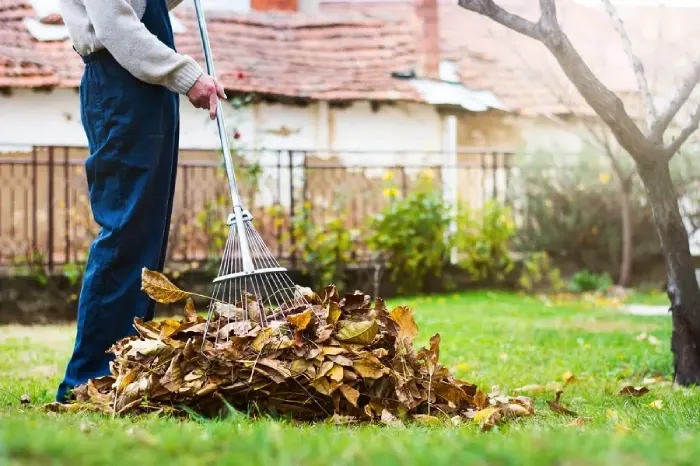 Detailed Yard Cleanup in Clovis, CA