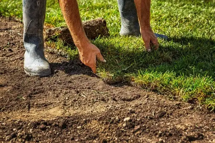 Excellent Sod Installation in Clovis, CA