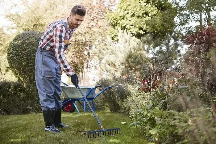 Exceptional Yard Cleanup in Clovis, CA