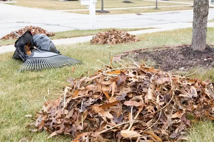 High-quality Yard Cleanup in Clovis, CA