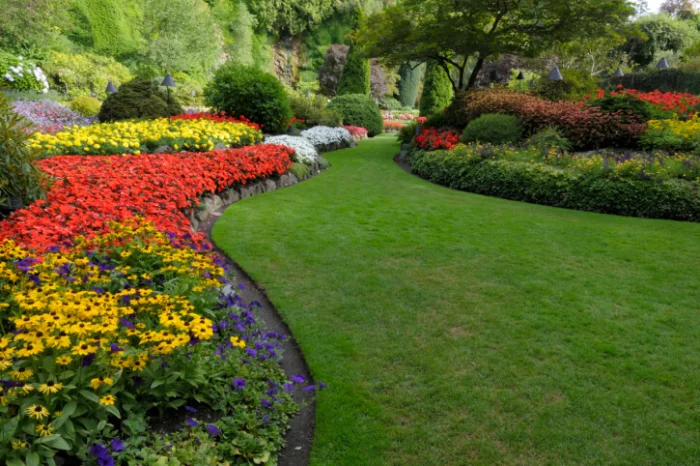 Landscaping Company in Clovis, CA