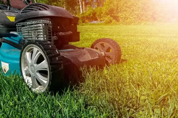 Professional Lawn Mowing in Clovis, CA