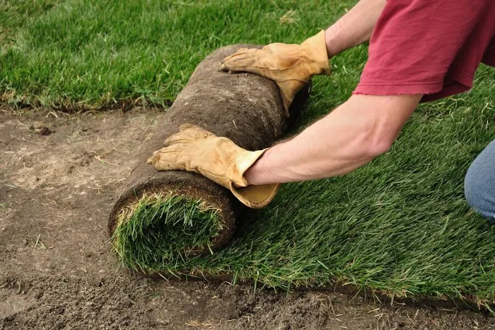 Proficient Sod Installation in Clovis, CA