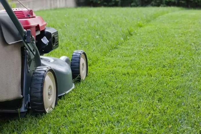 Reliable Lawn Mowing in Clovis, CA