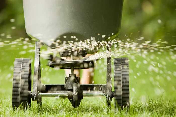 Top-notch Lawn Fertilization in Clovis, CA