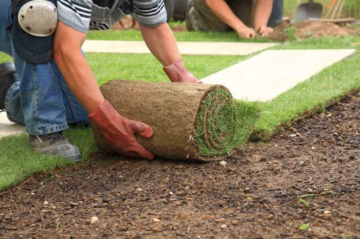 Trusted Sod Installation in Clovis, CA